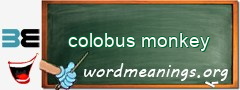 WordMeaning blackboard for colobus monkey